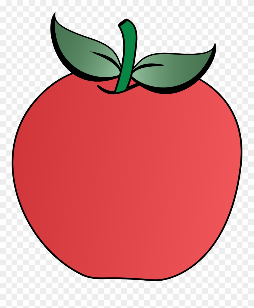 880x1068 Apple Drawing Leaf Fruit Tree