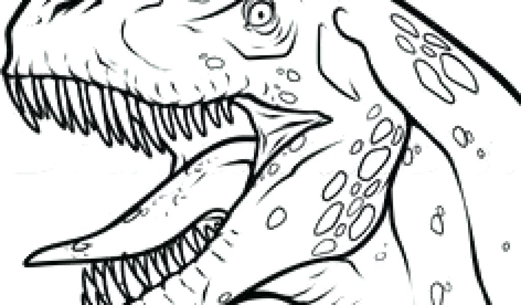1024x600 Easy Dinosaur Drawing