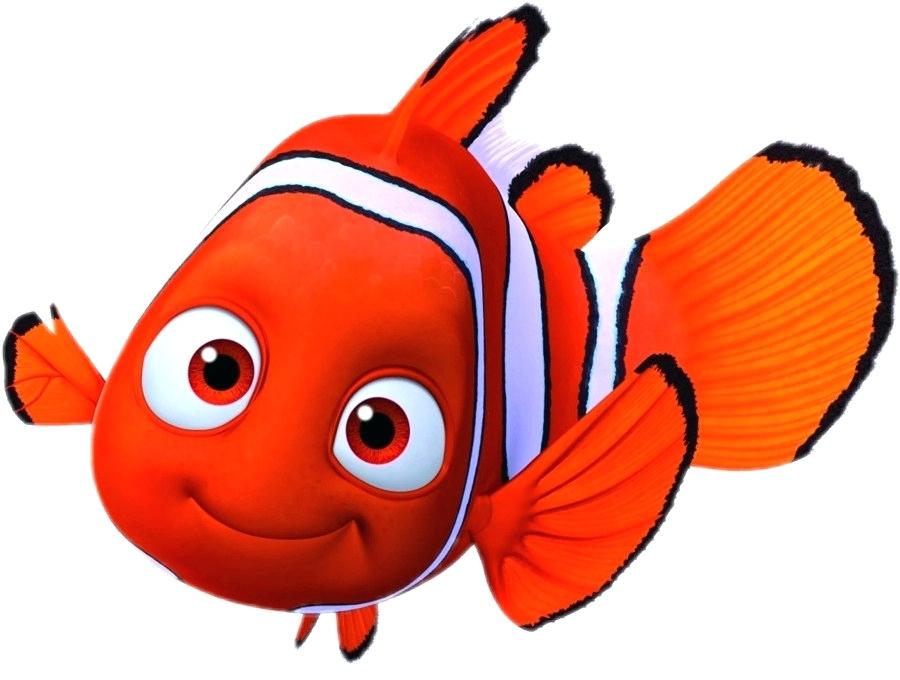 900x680 Drawing Nemo Drawing Clip Art Download Free Transparent Download