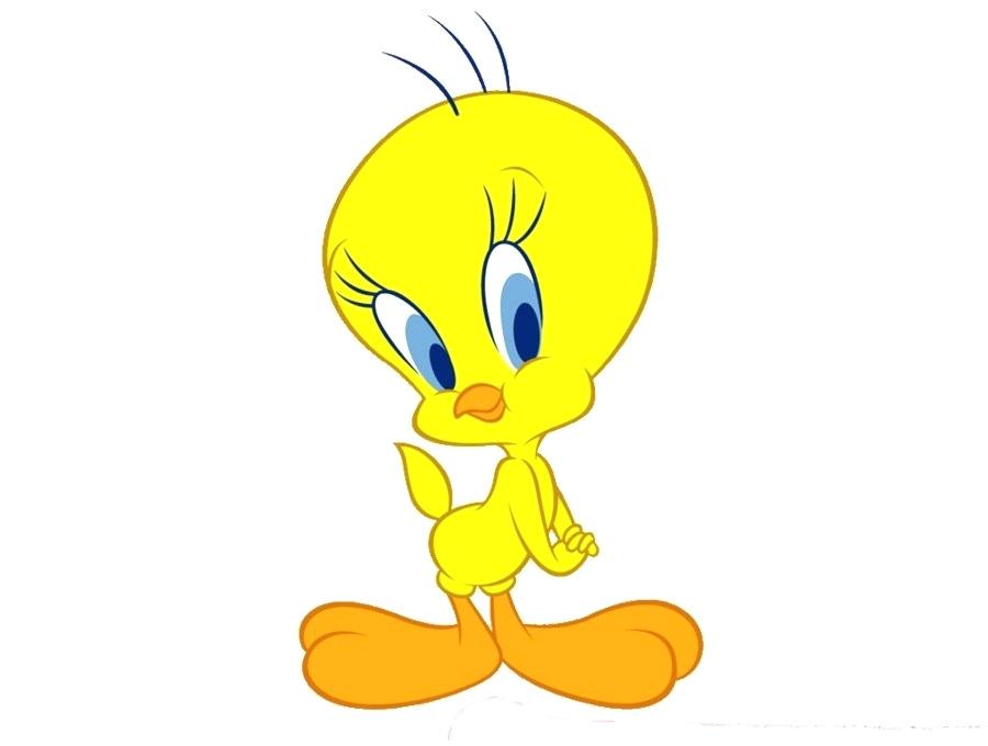 900x680 tweety drawing tweety bird line drawing
