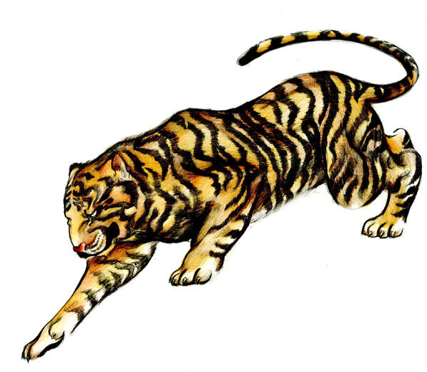 600x523 How To Draw A Tattoo Style Tiger With Colored Pencils