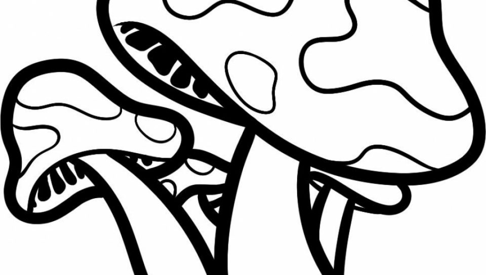 960x544 easy trippy drawing at getdrawings com free for personal use