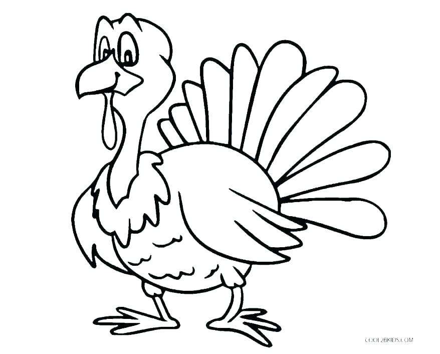 878x706 Color Turkey