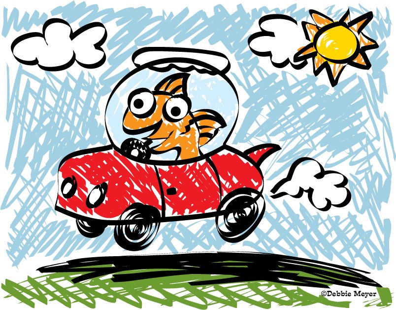 804x628 fish in red car the world according to sylvia garza