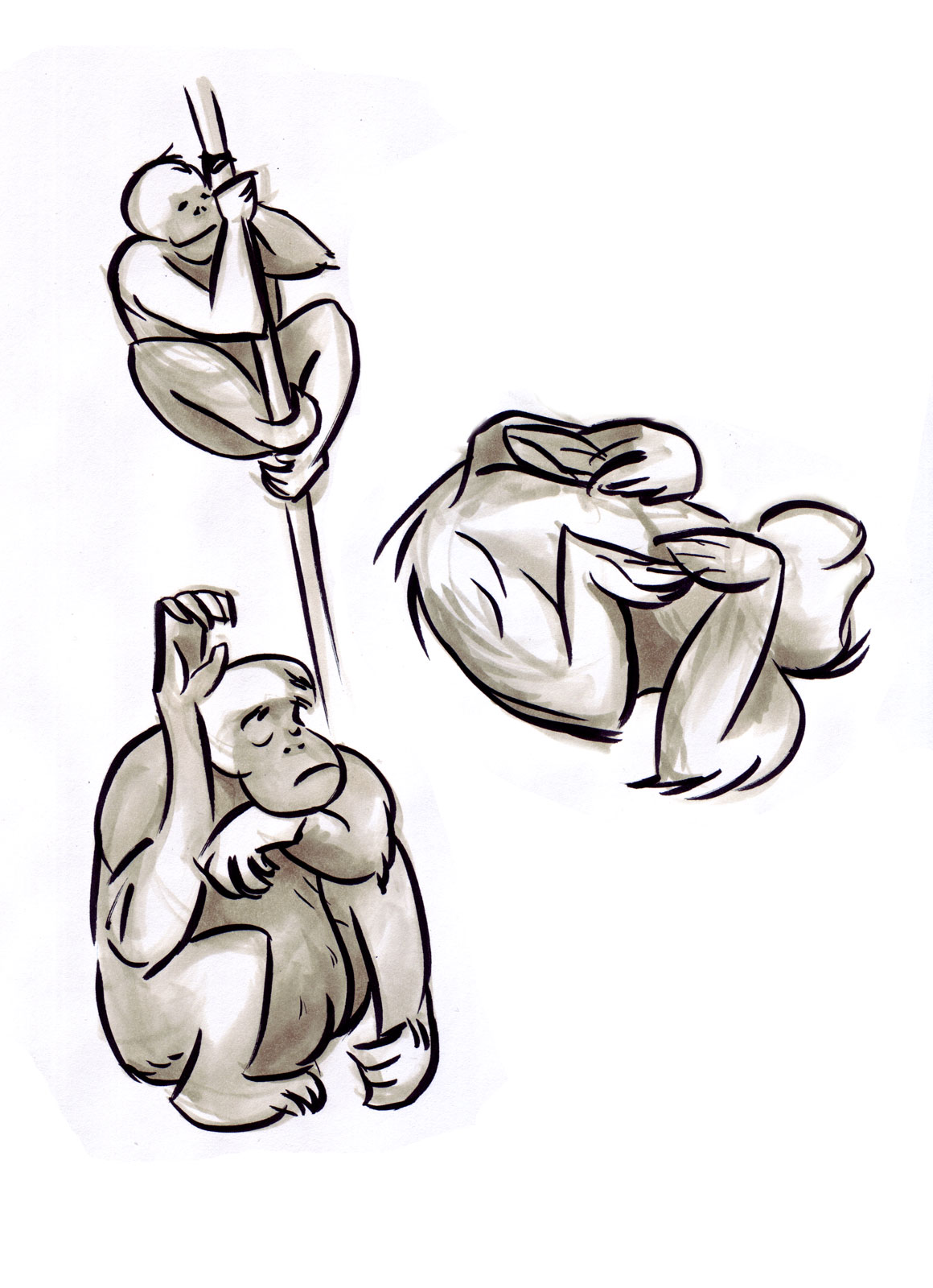 1160x1600 Steftacular's Blog Animal Gesture Drawings From The La Zoo