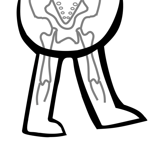 540x491 Drawing Anatomy Tumblr