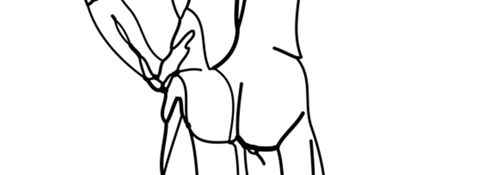 1584x576 Jobs Archives