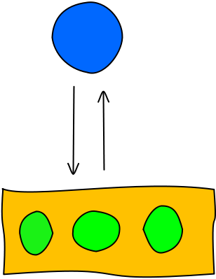 308x399 Swim Lesson Plan Level Swimming Lessons Ideas