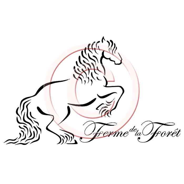 700x700 Custom Logo Design Small Busines Logos, Horse Farm, Dog Rescue