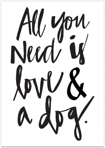 430x605 All You Need Is Love And A Dog Sold Out Fluffy Loves Dog