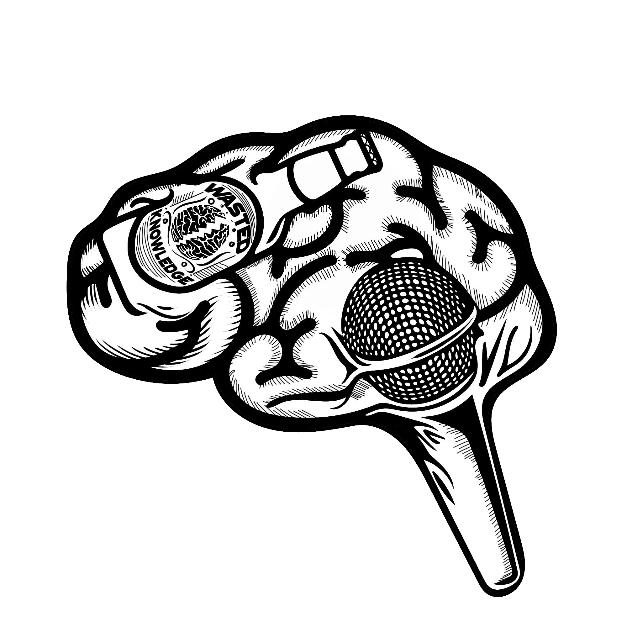 2000x2000 wasted knowledge podcast listen via stitcher for podcasts