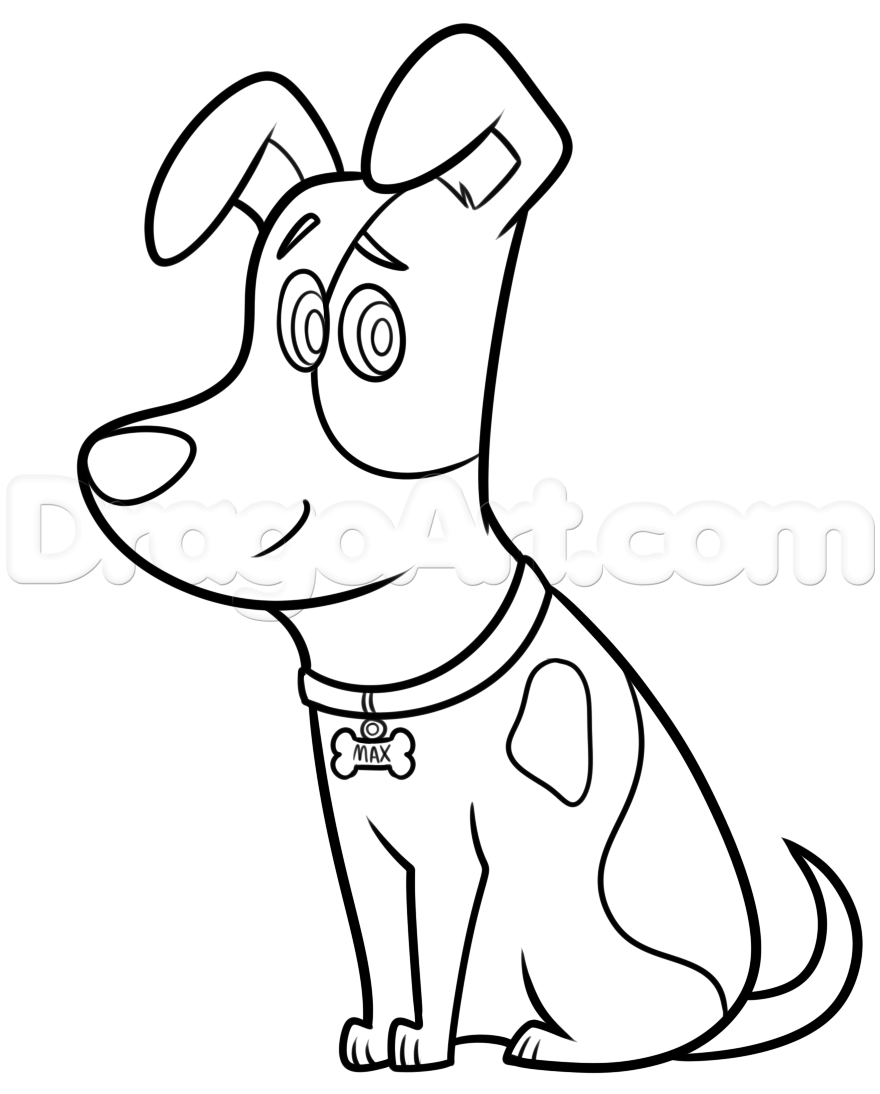 880x1094 Step How To Draw Max From The Secret Life Of Pets