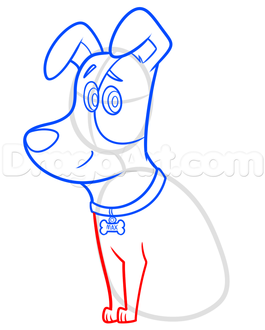 880x1094 Step How To Draw Max From The Secret Life Of Pets