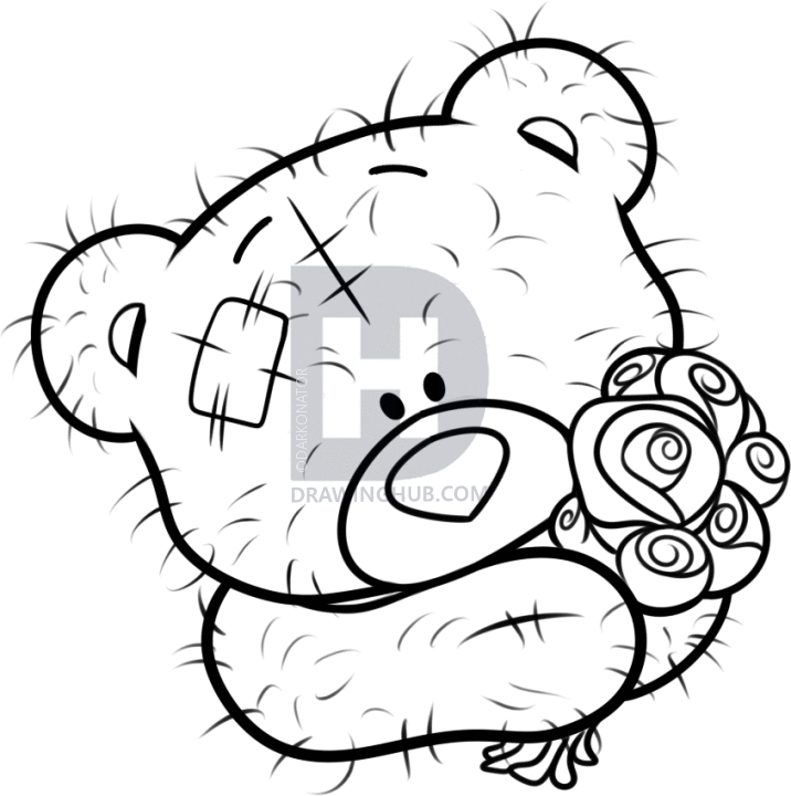 716x720 How To Draw The Me You Bear, Step
