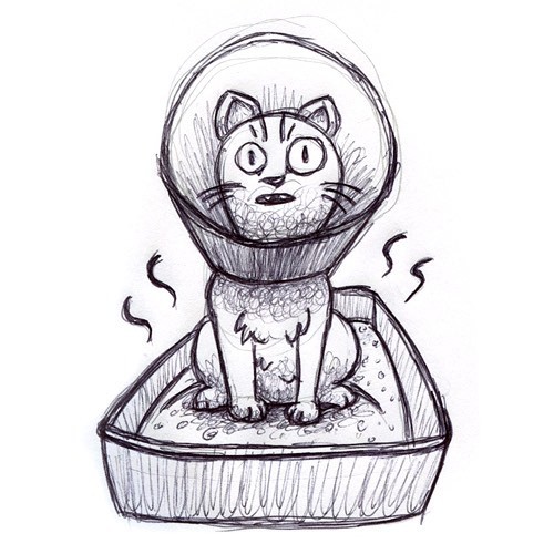 500x500 Anna! Draw Me Stuff