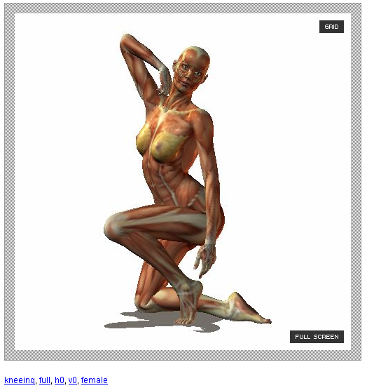 524x553 quickly learn how to draw human body in different poses web