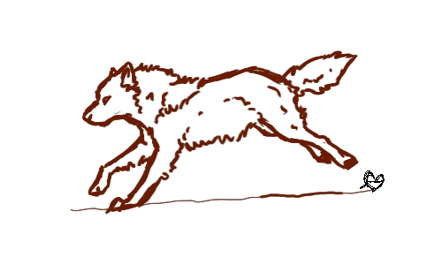 500x300 Collection Of Free Wolves Drawing Motion Download On Ui Ex