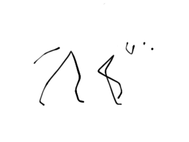 800x600 Dog Study Days Of Motion