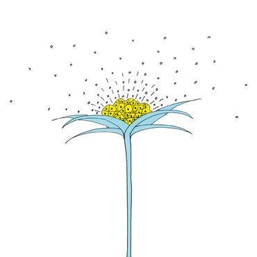 370x370 Mikwaju Ensemble 'ki Motion' Lp Bear Tree Records