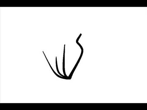 480x360 Stop Motion Drawing With Paint