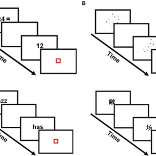 320x320 experimental and localizer tasks