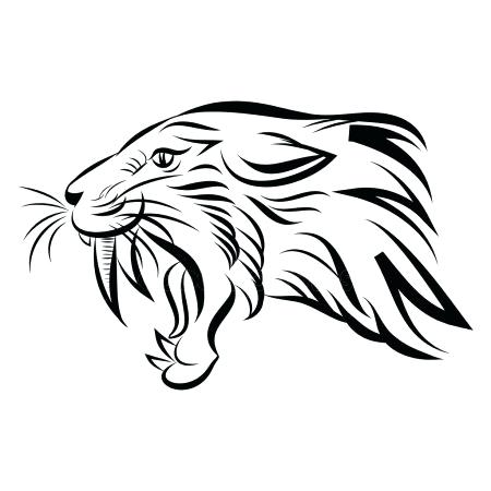 450x450 drawing of a saber tooth tiger draw saber tooth tiger saber tooth