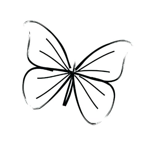 500x482 Drawing Of Butterfly Step