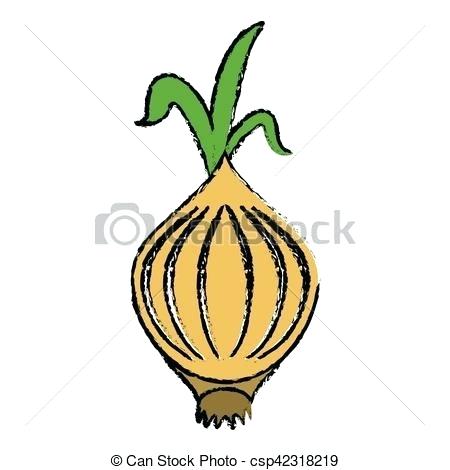 450x470 drawing of an onion onion drawing out toxins