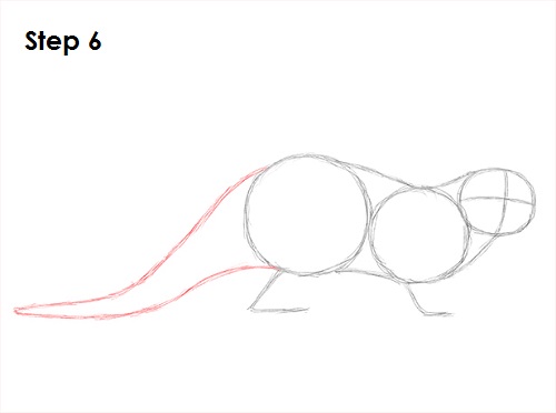 500x372 How To Draw An Otter