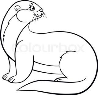 320x310 Sea Otter Coloring