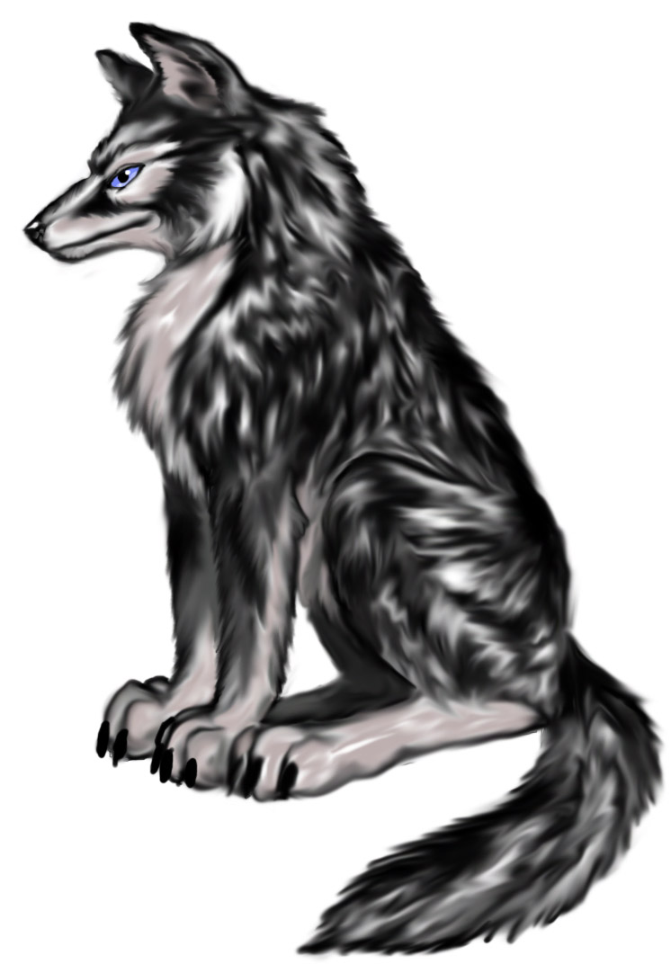 Drawing Of A Wolf Sitting