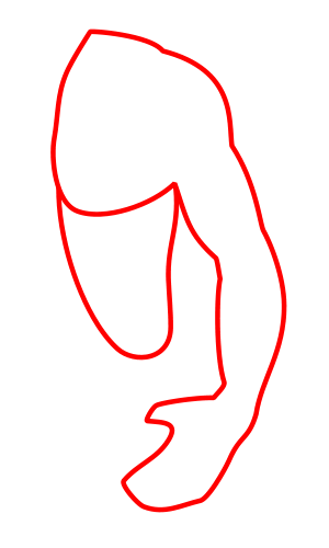 300x500 Drawing A Cartoon Arm