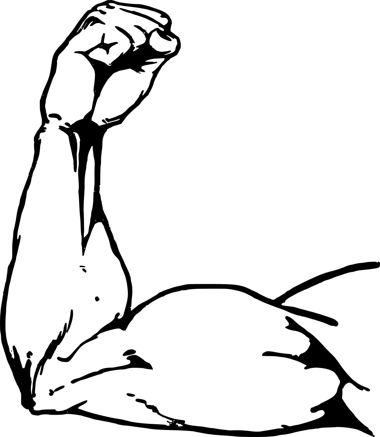1562x1799 Muscle Arm Clipart