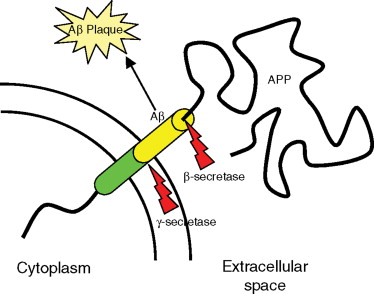 374x294 Integral Membrane Protein