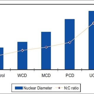 320x320 mean nuclear diameter