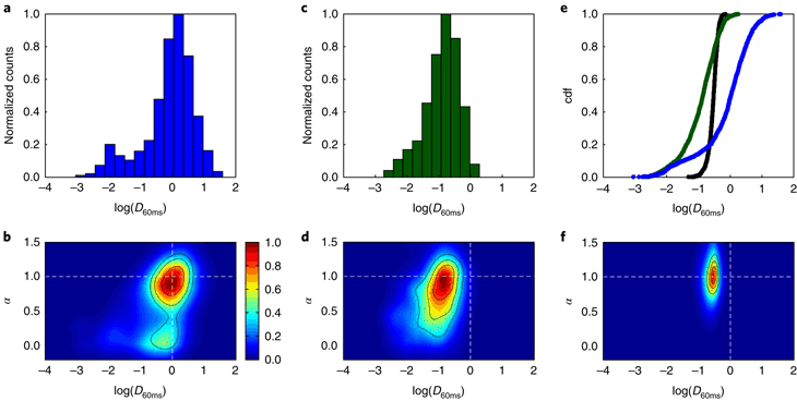 730x368 non specific interactions govern cytosolic diffusion of nanosized