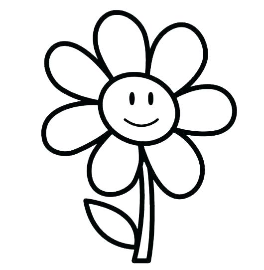 530x541 Types Of Flowers Coloring Pages