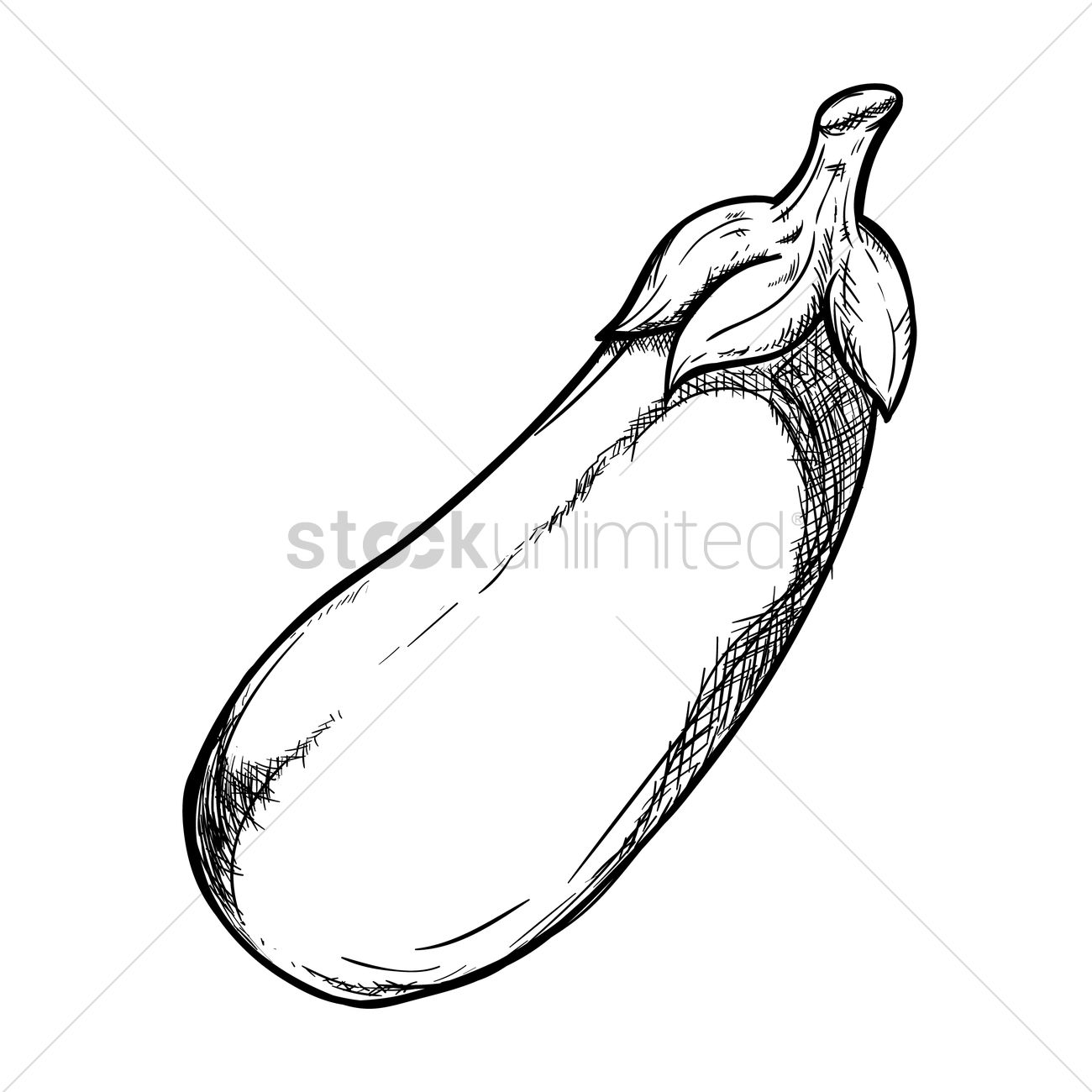 1300x1300 Eggplant Vector Image
