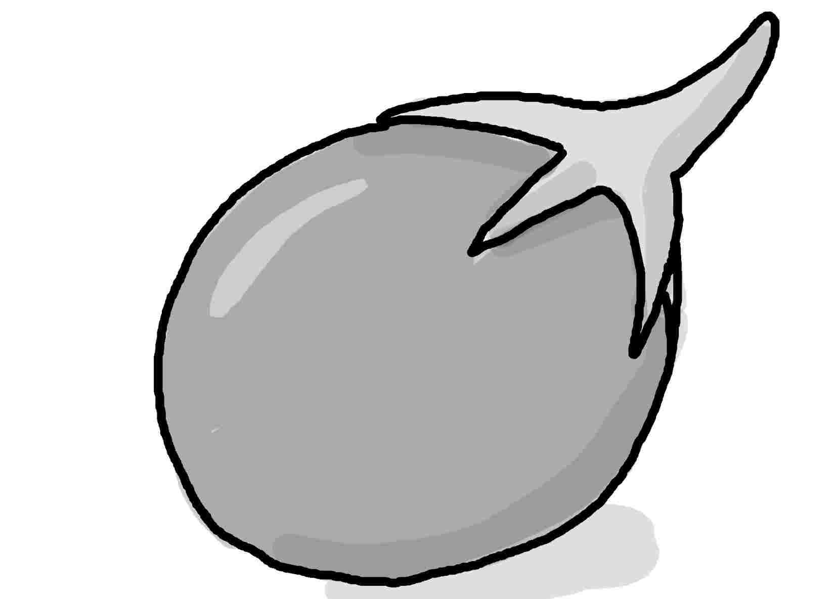 1659x1185 pencil brinjal drawing picture for free download