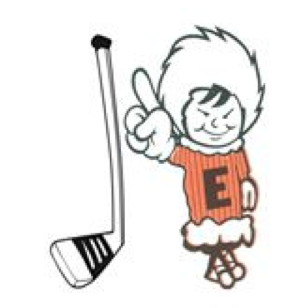 296x308 Appropriation