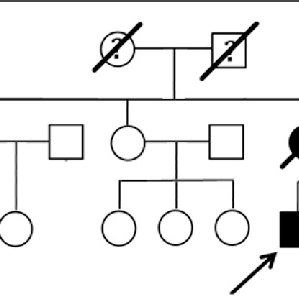 299x299 pedigree of the chinese adpkd family affected family members are