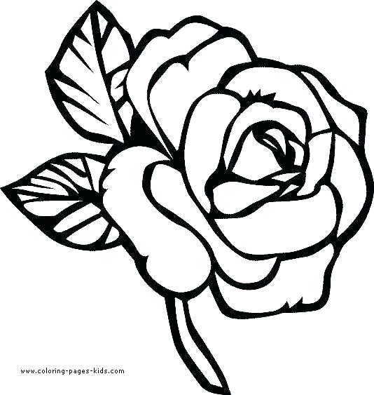534x563 Cool Flower Coloring Pages