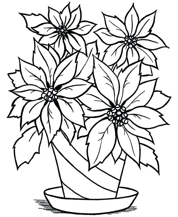 600x734 Coloring Pictures Of Flowers In A Vase Coloring Gallery Draw