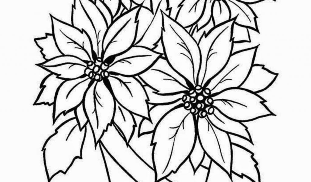 1024x600 Drawing Of Flowers In Vase Easy Elegant Cool Drawings For Kids