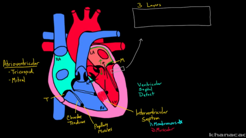 854x480 Simple Diagram Of Human Heart With Labels Elegant Atria