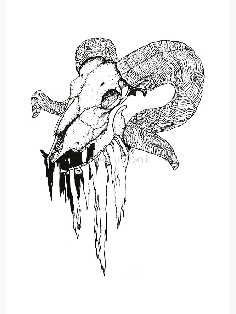 750x1000 decay' ram skull ink drawing canvas print