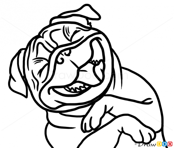665x567 Pug Drawing Cartoon For Free Download