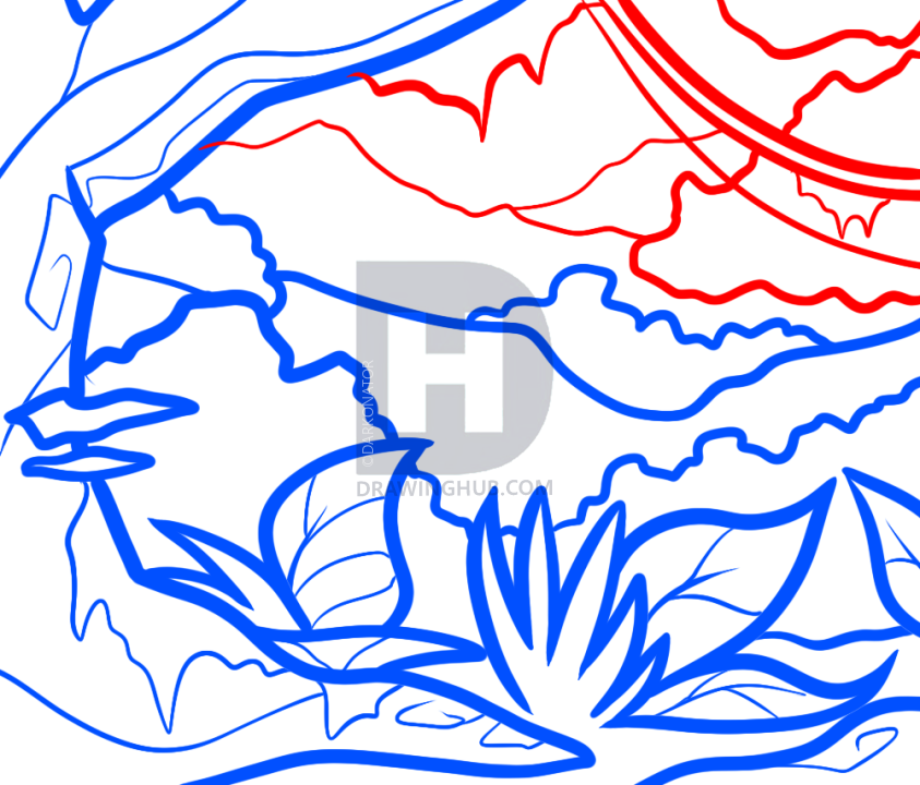 843x720 How To Draw A Jungle For Kids, Step