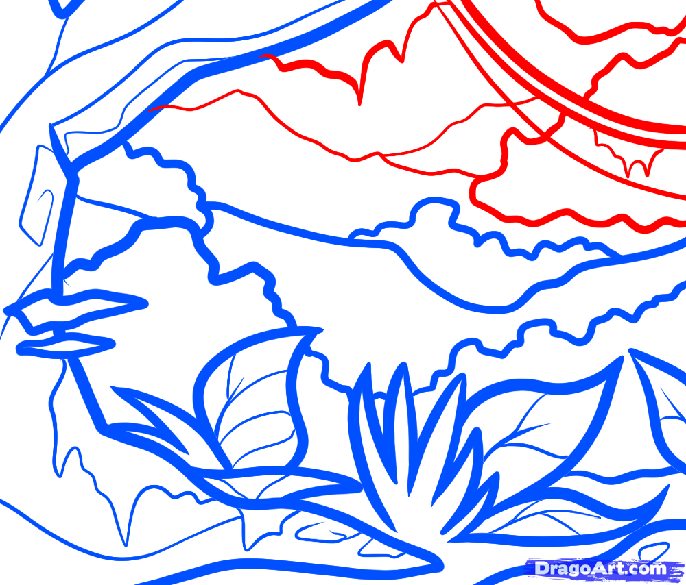 1000x854 How To Draw A Jungle For Kids, Step