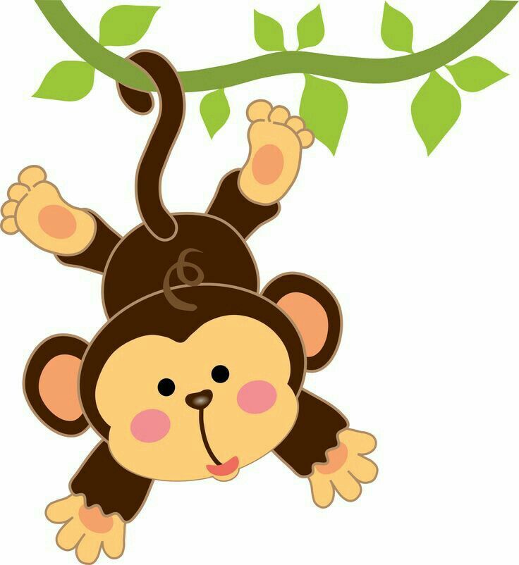 736x802 Cartoon Monkey Drawing, Monkey